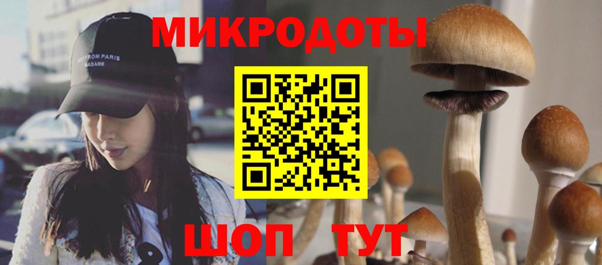 Киржач  Галлюциногенные грибы MAGIC MUSHROOMS  где продают   Вход с VPN  Псилоцибиновые грибы прущие грибы 