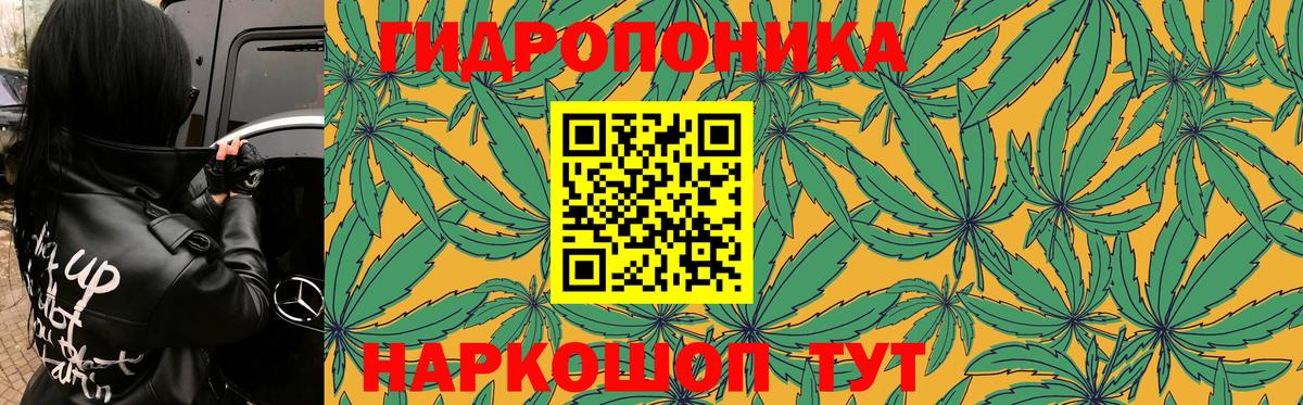 МАРИХУАНА ГИДРОПОН Киржач